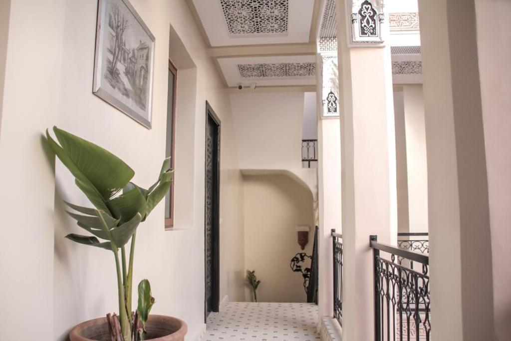 Riad Amazing Marrakesh Eksteriør billede
